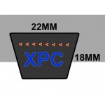 22 mm XPC Cogged Metric Belts